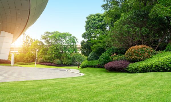 Cost of Commercial Lawn Mowing in Stockbridge