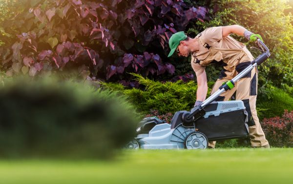 Cost of Lawn Care And Maintenance in Stockbridge