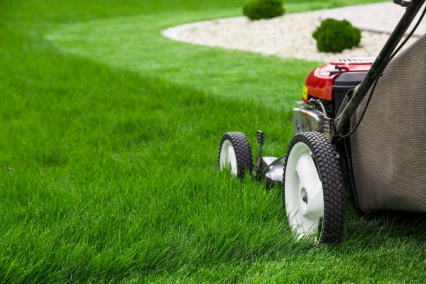 Cost of Lawn Cutting Service in Stockbridge
