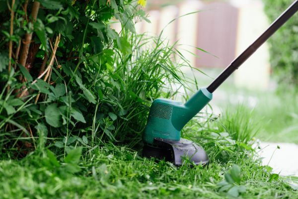Cost of Weed Whacking in Stockbridge