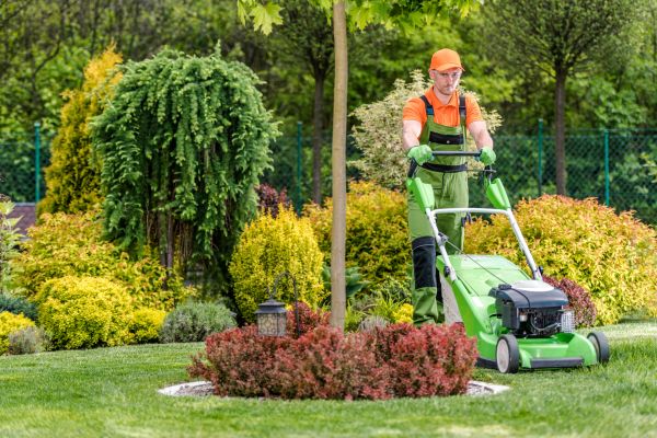 Cost of Yard Service in Stockbridge