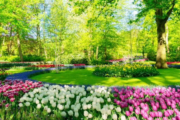 Cost of Spring Lawn Care in Stockbridge
