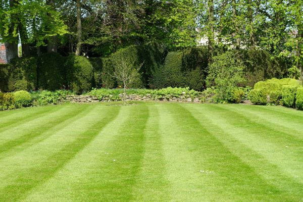 Cost of Grass Care Service in Stockbridge