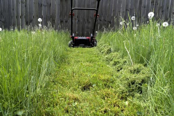Cost of High Grass Mowing in Stockbridge