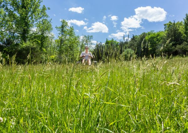 Cost of Long Grass Mowing in Stockbridge