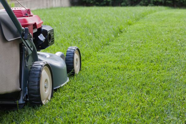 Cost of Spring Lawn Maintenance in Stockbridge