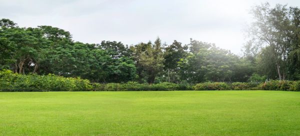 Cost of Golf Course Mowing in Stockbridge