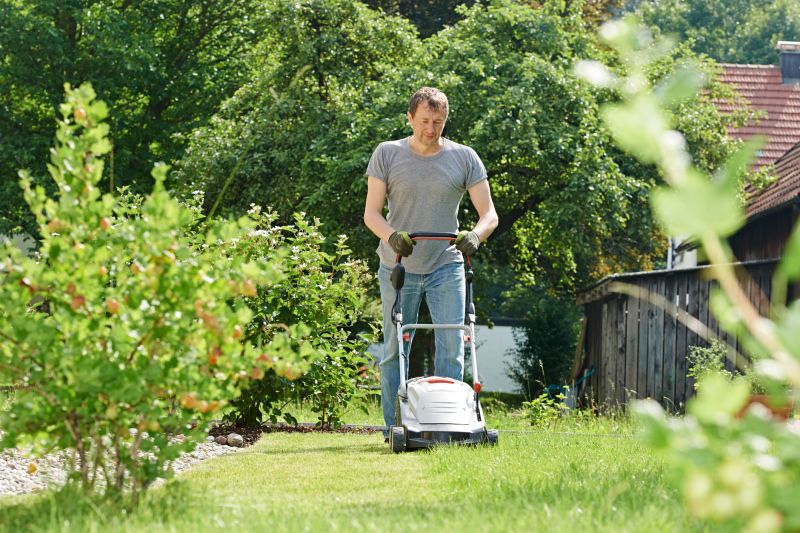 Lawn Cutting Service detail