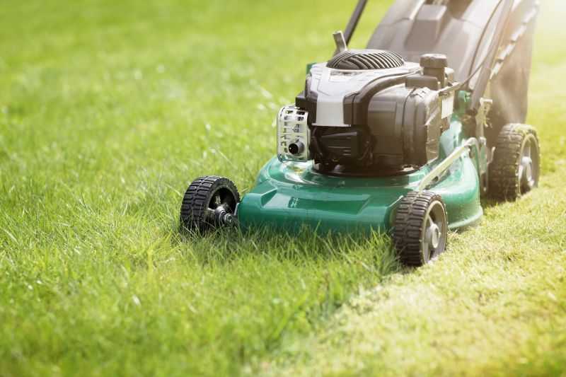 Residential Lawn Mowing detail