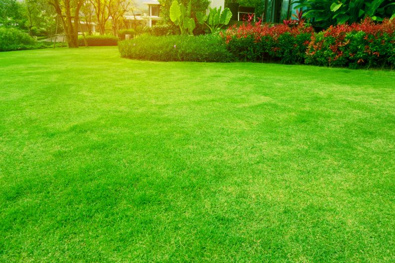 Healthy Lawn Tips